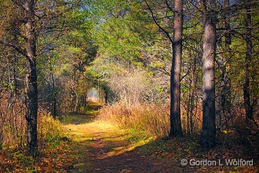 Stony Swamp Trail 26 (10181).jpg - Photographed at Ottawa, Ontario - the capital of Canada.